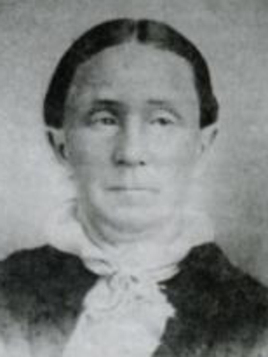 Martha Bromley Alvord (1833 - 1882) Profile
